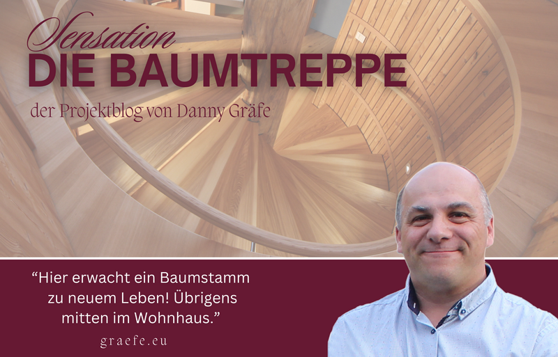 SENSATION Baumtreppe